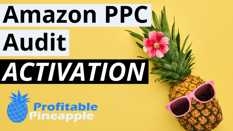 Amazon PPC 2020