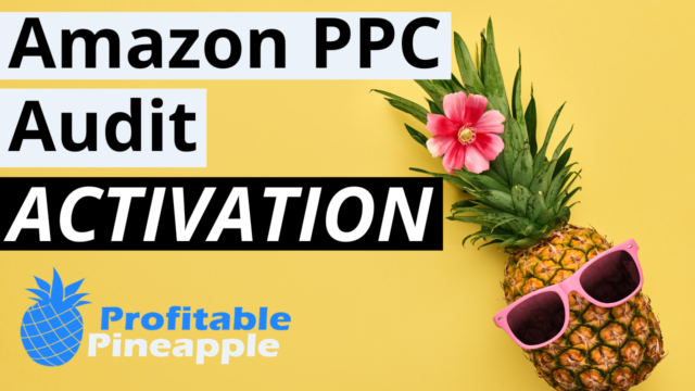 Amazon PPC Audit for Activation Products